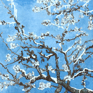 在线免费看黄网站
