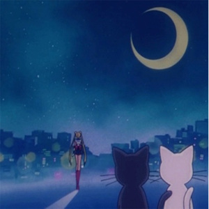 在线免费看黄网站
