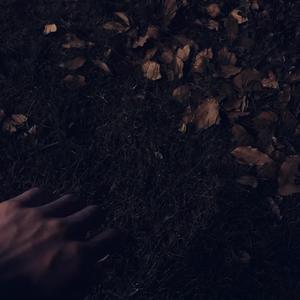 在线免费看黄网站
