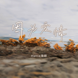 在线免费看黄网站
