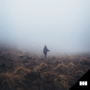 在线免费看黄网站
